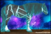 Horse Color:Thunderstruck Black Rabicano 