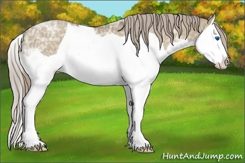 Horse Color:Chocolate Palomino Ice Dun Splash
