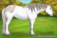Horse Color:Chocolate Palomino Ice Dun Splash 