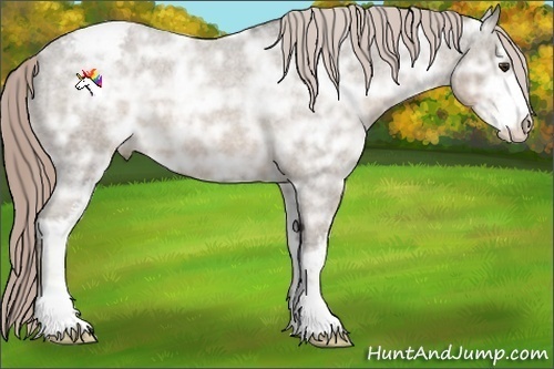 Horse Color:Chocolate Palomino Ice Roan Sabino Appaloosa 