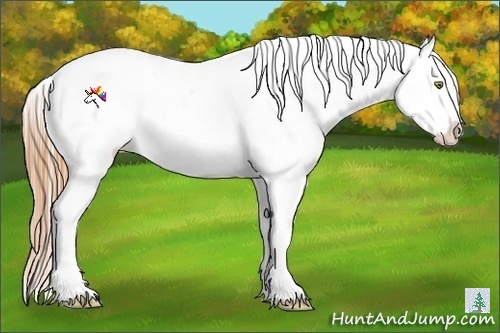 Horse Color:Gold Champagne Roan Dun Splash Appaloosa Rabicano