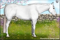 Horse Color:Black Frame Appaloosa Rabicano