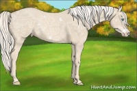 Horse Color:White Spotted Cremello Ice Frame
