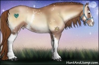 Horse Color:White Spotted Red Onyx Pearl 
