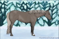 Horse Color:Silver Black Sabino Rabicano 