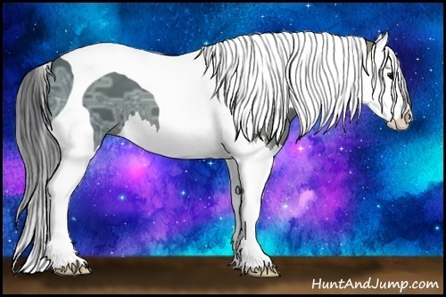 Horse Color:Black Ice Splash Tobiano 