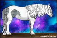 Horse Color:Black Ice Splash Tobiano 