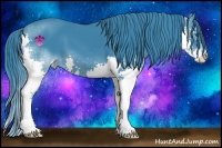 Horse Color:Watercolor Black Splash 