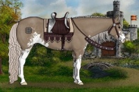 Horse Color:Silver Grullo Sabino