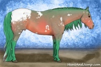 Horse Color:Watercolor White Spotted Bay Snowcap 
