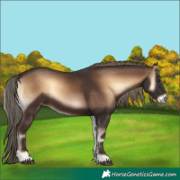 Horse Color:Liver Red Onyx