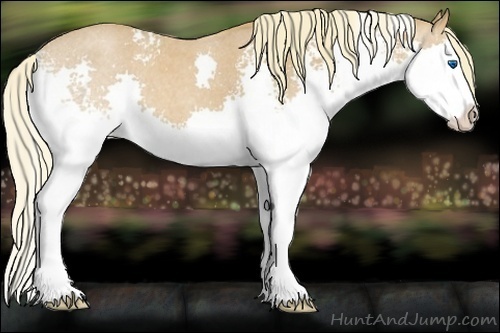 Horse Color:White Spotted Red Roan Splash 