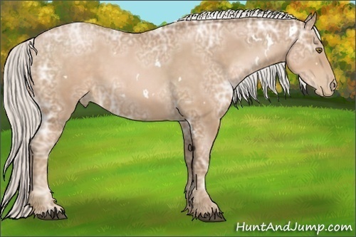 Horse Color:White Spotted Silver Bay Ice Pearl 