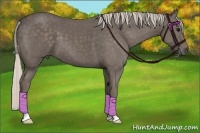 Horse Color:Silver Black 
