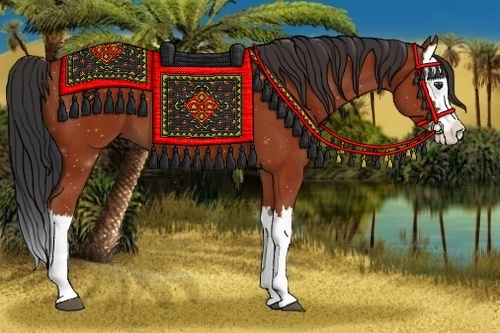 Horse Color:Bay Splash