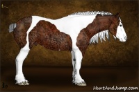 Horse Color:Bay Ice Tobiano 