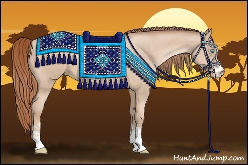 Horse Color:Buckskin Pearl Sabino 