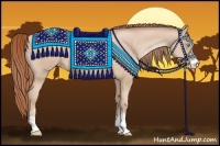 Horse Color:Buckskin Pearl Sabino 