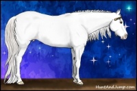 Horse Color:Silver Brown Dun Sabino Blanket Rabicano