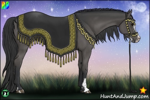 Horse Color:Black Sabino 