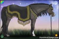 Horse Color:Black Sabino 