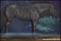 Horse Color:Smoky Black  Brindle