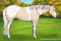 Horse Color:Silver Amber Champagne Splash Tobiano Appaloosa 