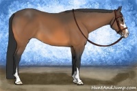 Horse Color:Buckskin Sabino 