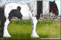 Horse Color:Black Tobiano 