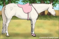 Horse Color:Perlino Dun 