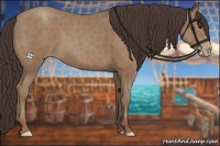 Horse Color:Classic Champagne 