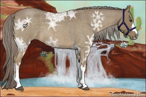 Horse Color:Chocolate Palomino Ice Roan 