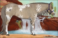 Horse Color:Chocolate Palomino Ice Roan 