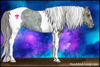 Horse Color:Smoky Black Ice Tobiano Varnish