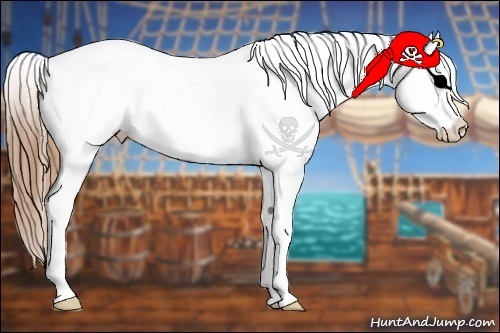 Horse Color:Red Dun Appaloosa 