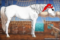 Horse Color:Red Dun Appaloosa 