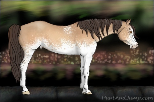 Horse Color:White Spotted Sable Champagne 