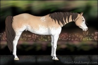 Horse Color:White Spotted Sable Champagne 