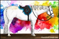 Horse Color:Silver Classic Cream Champagne Ice Dun Sabino Splash