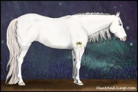 Horse Color:White Spotted Perlino