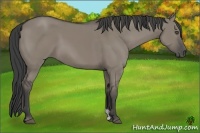 Horse Color:Smoky Grullo 