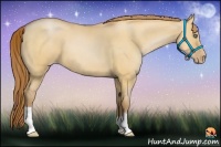 Horse Color:Bay Pearl Dun