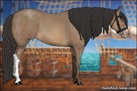 Horse Color:Sable Champagne 