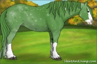 Horse Color:Watercolor Smoky Black Splash 