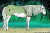 Horse Color:Watercolor Chocolate Palomino Splash