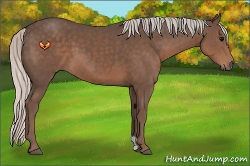 Horse Color:Silver Black 