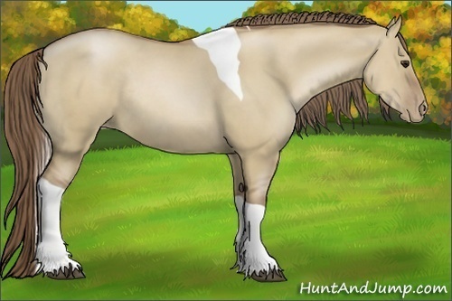 Horse Color:Grullo Pearl Sabino Tobiano Rabicano