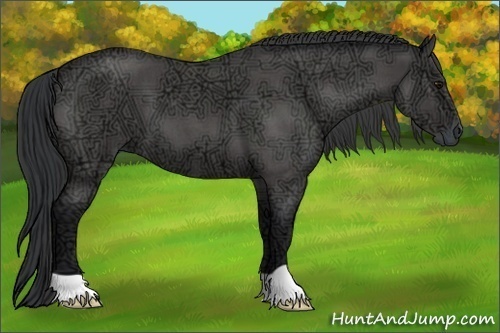 Horse Color:Blue Ice Roan