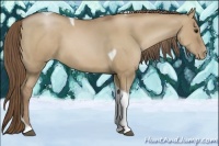 Horse Color:Grullo Pearl Tobiano 