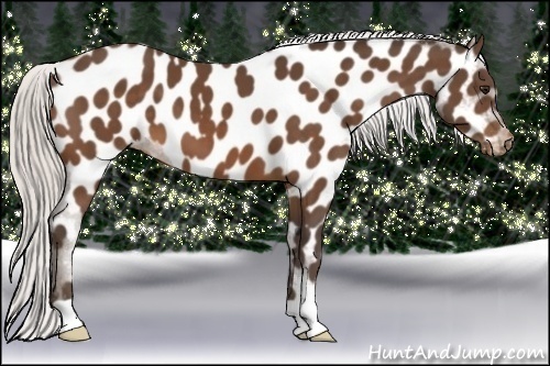 Horse Color:Silver Brown Near Leopard